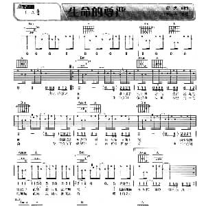 生命的尊严 吉他谱 水木年华 缪杰 缪杰