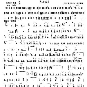 大姑娘美 高音板胡