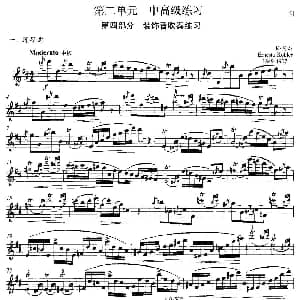 长笛曲谱 | 中高级练习 装饰音吹奏练习 练习曲部分