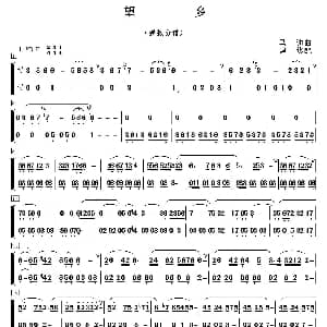 望乡 笛子独奏 乐队伴奏弹拨分谱 马迪