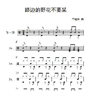 路边的野花不要采 架子鼓谱 李俊雄