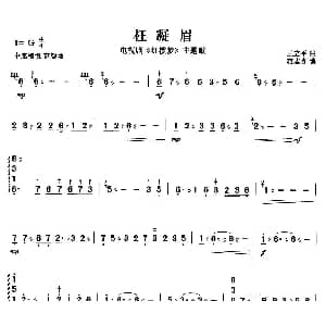 扬琴谱 | 枉凝眉 王立平