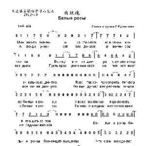 白玫瑰 Белые розы _歌曲简谱_词曲:С.库兹涅佐夫 词曲