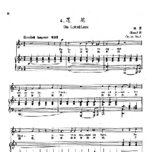 4莲花 德国 _外国歌谱_词曲:海涅 舒曼