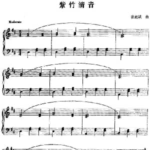 钢琴小品 紫竹清音 钢琴谱 张能斌