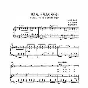 百灵鸟,你这美妙的歌手_美声唱法乐谱