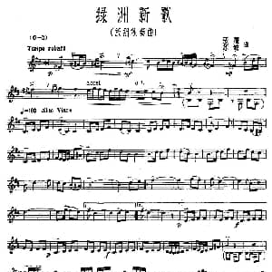 绿洲新歌 板胡独奏 张鹰 苏敏