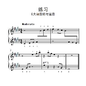 练习 E大调音阶与琶音 钢琴谱