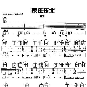 家在东北 吉他谱 庞龙