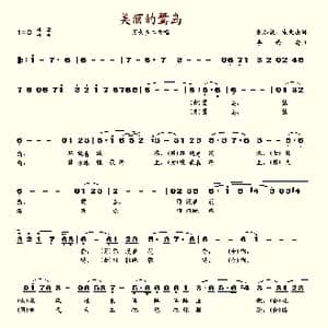 美丽的鹭岛_歌谱投稿