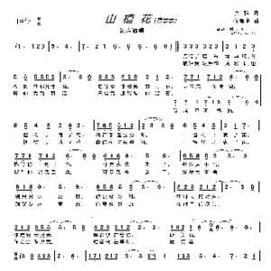 山楂花〔常思思〕_歌曲简谱_词曲:文雅 仓雁彬