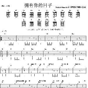 拥有你的日子 吉他谱 许飞