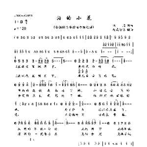 泪的小花_歌曲简谱_词曲:佚名 佚名