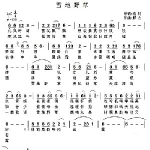 雪地野草_通俗唱法乐谱_词曲:琰川 解力