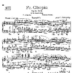 53首改编练习曲 钢琴谱 里奥鲍尔德 戈多夫斯基