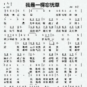 我是一棵忘忧草_歌曲简谱_词曲:张宏 张宏