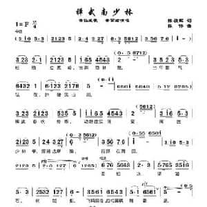 禅武南少林_民歌简谱_词曲:陈祯辉 陈伟