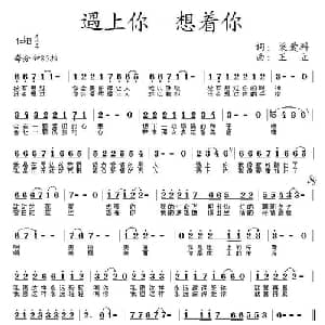 遇上你 想着你_通俗唱法乐谱_词曲:梁爱科 王立