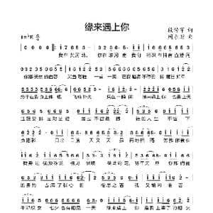 缘来遇上你_歌曲简谱_词曲:段传军 周永财
