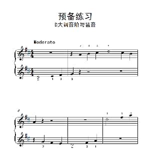 预备练习 D大调音阶与琶音 钢琴谱