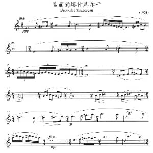 长笛曲谱 | 美丽的塔什库尔干 方定昊编曲