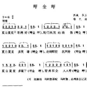 呷金呷_民歌简谱