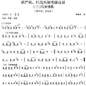 巴乌六级考级曲目 马来情歌 胡结续