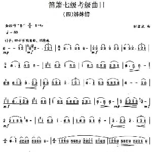 笛箫七级考级曲目 姊妹情 张宝庆