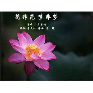 花非花梦非梦_歌曲简谱_词曲:李大江填词 苏越