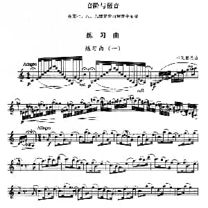 单簧管考级教材 第十级 陈新主编