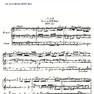 Trio in D Minor BWV 583 管风琴