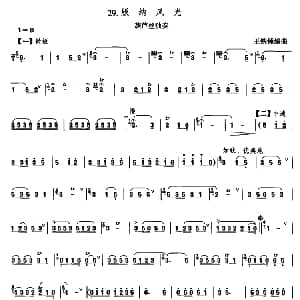 葫芦丝谱 | 版纳风光 王铁锤