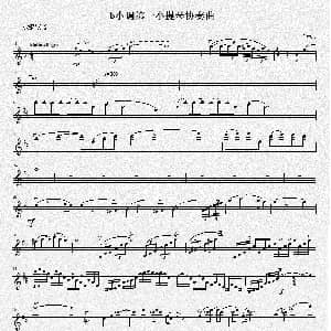 小提琴谱 | b小调第一小提琴协奏曲第三乐章 独奏小提琴分谱 项道荣