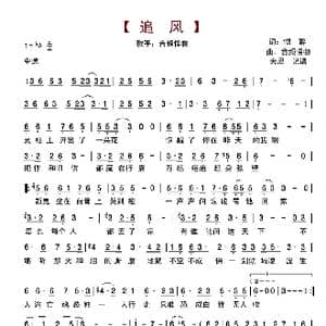 追风_歌谱投稿_词曲:恨醉 音频怪物