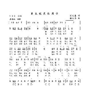 善良就是信用卡_歌谱投稿_词曲:凌大鑫 徐大为