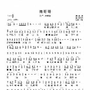 情哥哥_歌曲简谱_词曲:蔡涛 樊芳斌