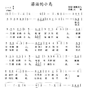 漂泊的小鸟_美声唱法乐谱_词曲:蝶舞风飞 天妮