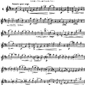 长笛曲谱 | 三十首基础及提高练习曲 NO.6 Garibold 加里波第