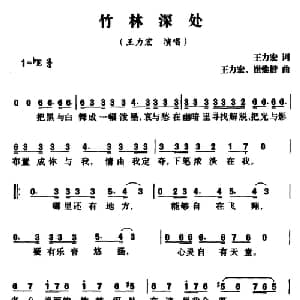 竹林深处_通俗唱法乐谱_词曲:王力宏 王力宏 崔惟楷