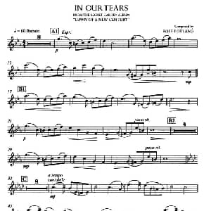 小提琴谱 | IN OUR TEARS