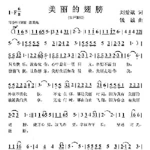 美丽的翅膀_通俗唱法乐谱_词曲:刘爱斌 钱诚