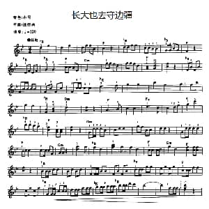 电子琴谱 | 长大也去守边疆