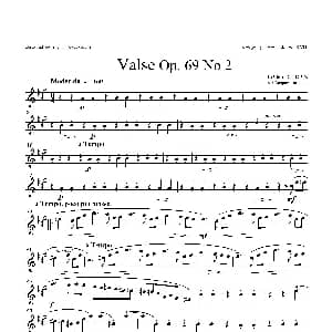 萨克斯谱 | b小调圆舞曲 Op.69 No.2 四重奏中音萨克斯分谱 肖邦