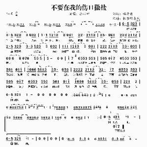 不要在我的伤口撒盐_歌曲简谱_词曲:林华勇 林华勇