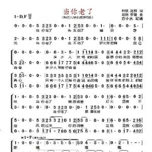 当你老了_歌曲简谱_词曲:叶枝 赵照 赵照 李健