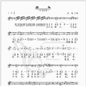 好年_歌谱投稿_词曲:浮克 浮克