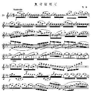 萨克斯谱 | 萨克斯练习曲合集 4 —20 复音程练习 费林