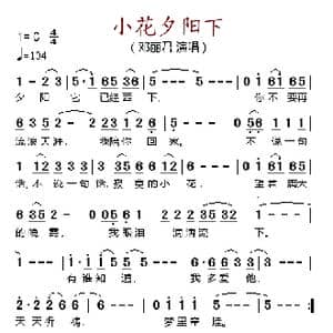 小花夕阳下_歌谱投稿