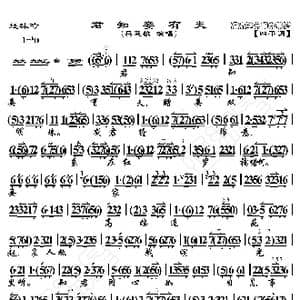 还珠吟 君知妾有夫_歌曲简谱_词曲:暂无 恒流星制谱