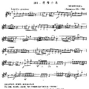 小提琴谱 | 滑稽小鸟 俄 格列恰尼诺夫
